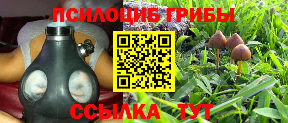 Галлюциногенные грибы мицелий Славянск-на-Кубани