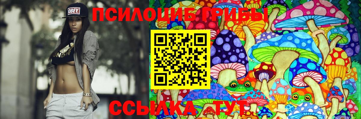 Славянск-на-Кубани  Псилоцибиновые грибы Psilocybine cubensis  Вход с VPN  Псилоцибиновые грибы MAGIC MUSHROOMS 